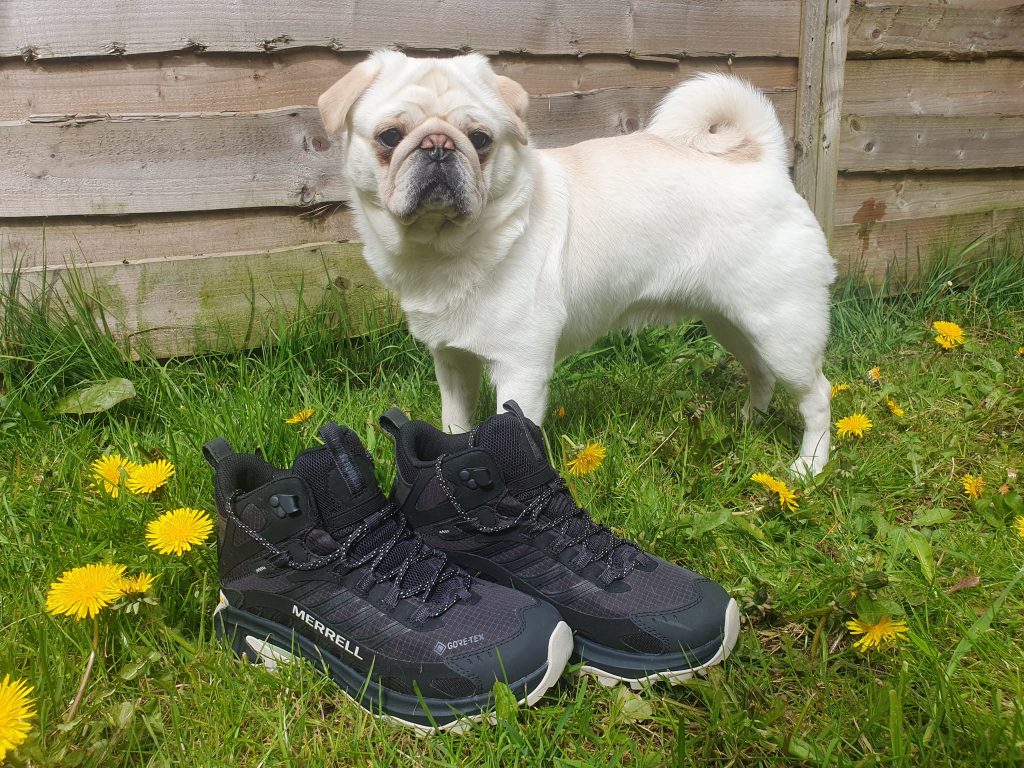 Walking Boots