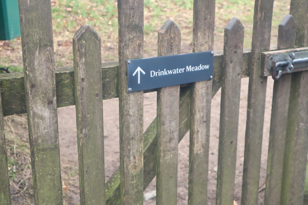 Mr. Darcy's Pond location