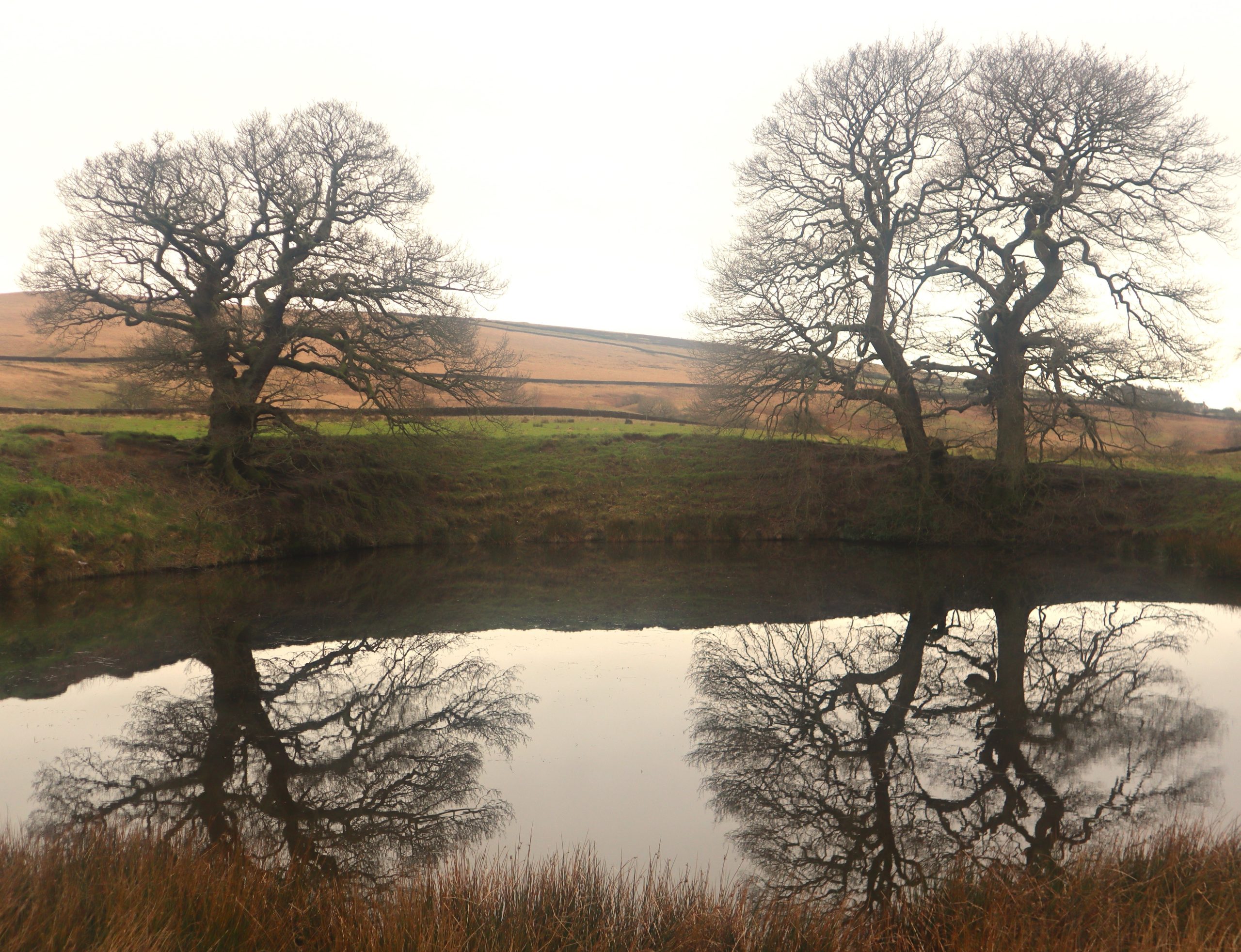 Mr. Darcy's Pond location
