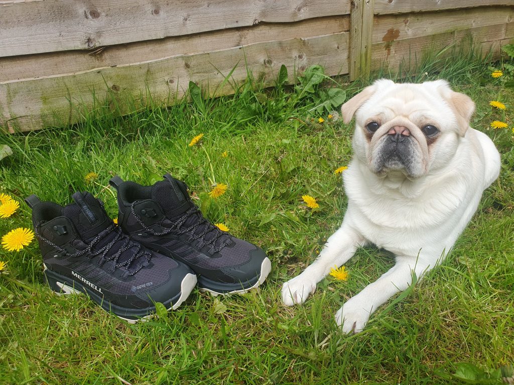 Walking Boots