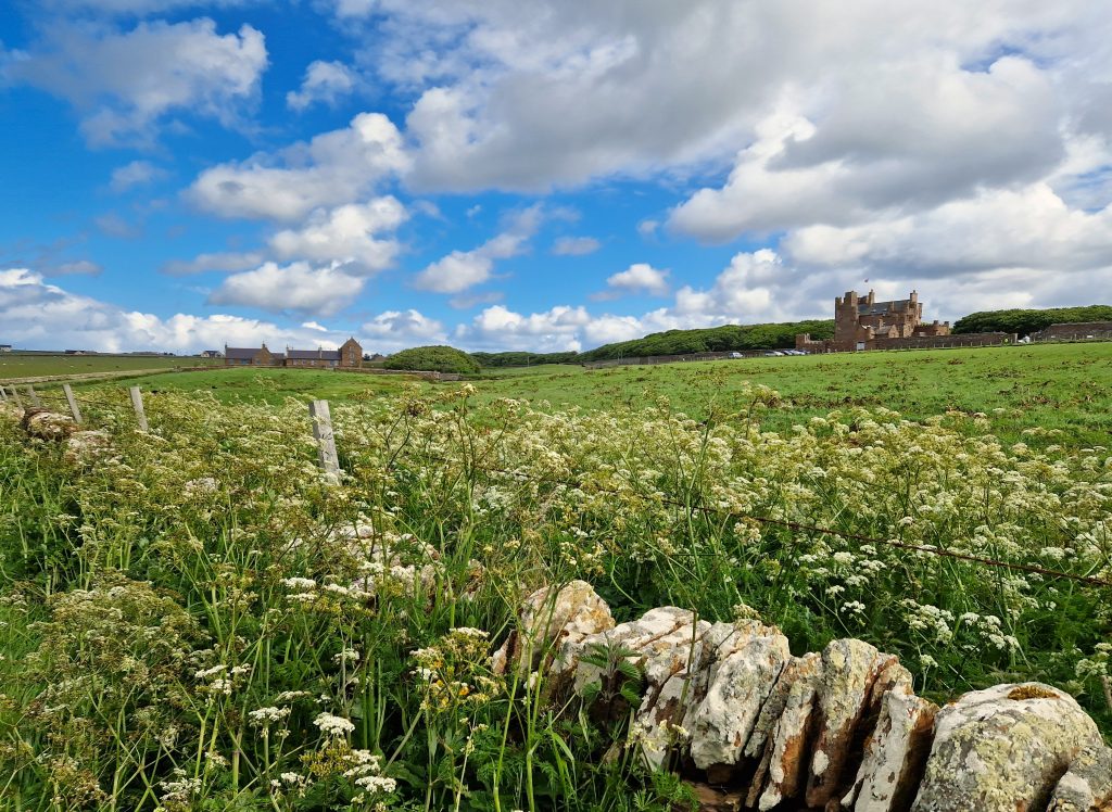 Castle of Mey