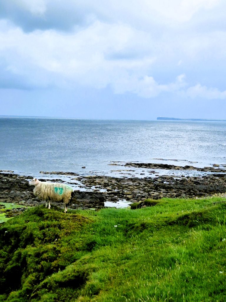 Lighthouse Keeper's Cottage in the distance on John O'Groats Trail 