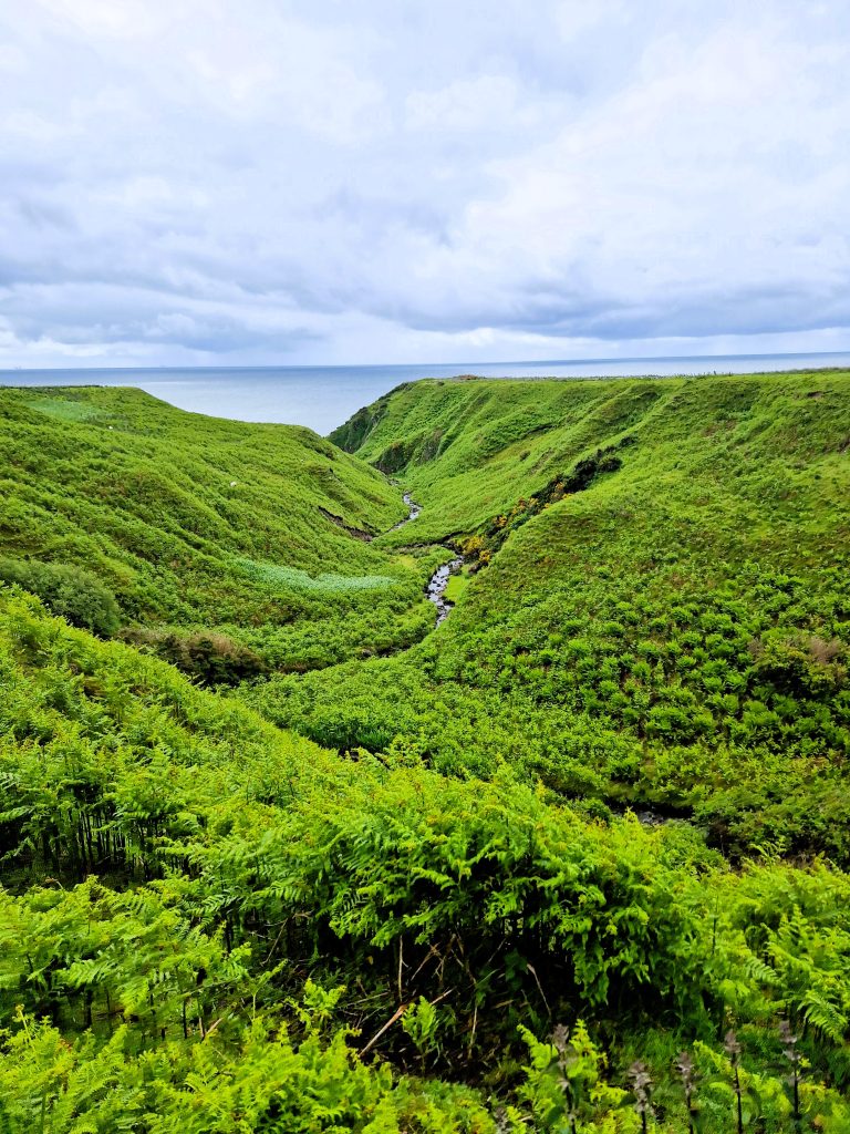 Walking through bog on the John O’Groats Trail near Helmsdale