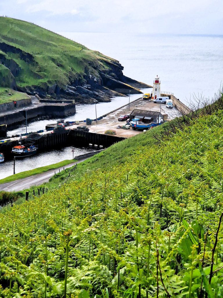 View over Lybster Harbour along John O’Groats Trail