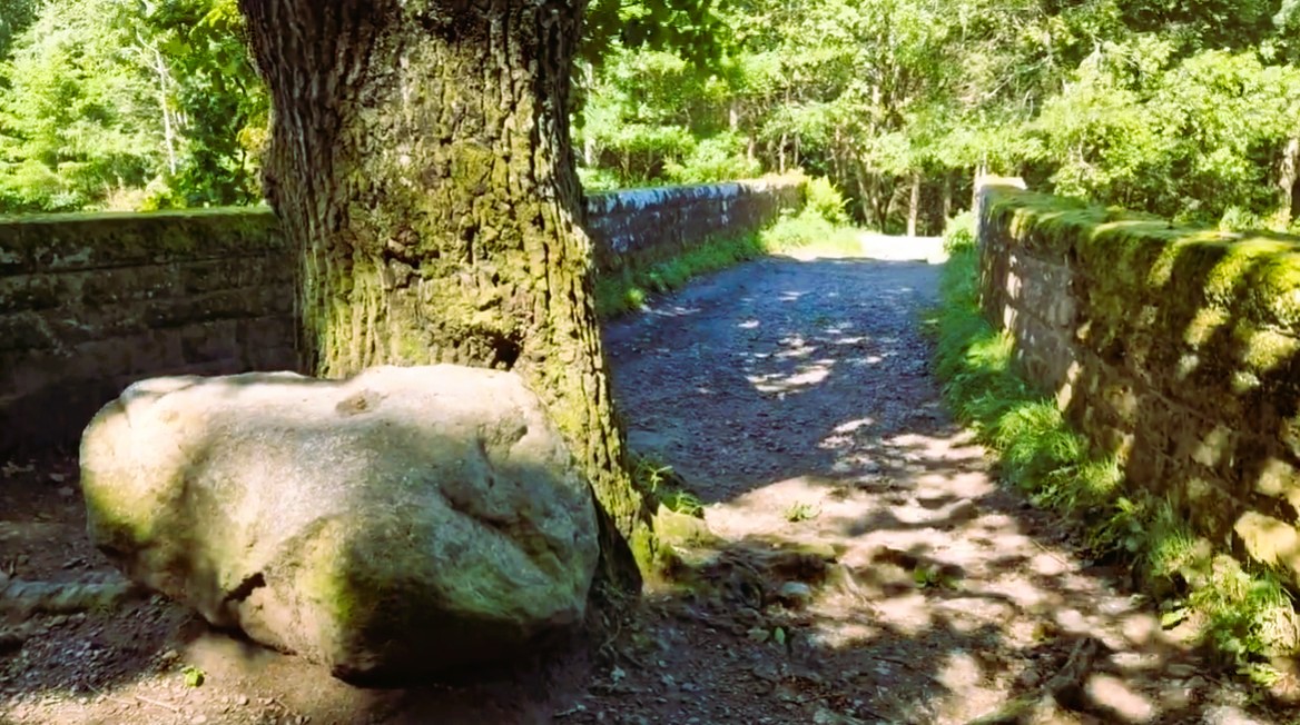 The Presidents Stone in Culloden Woods